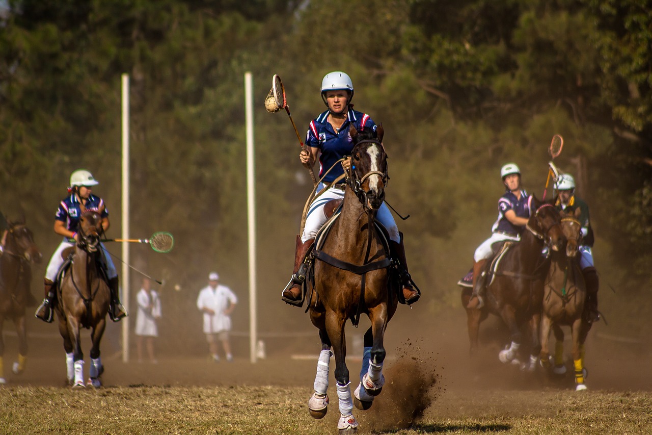 sport horse polo cross free photo