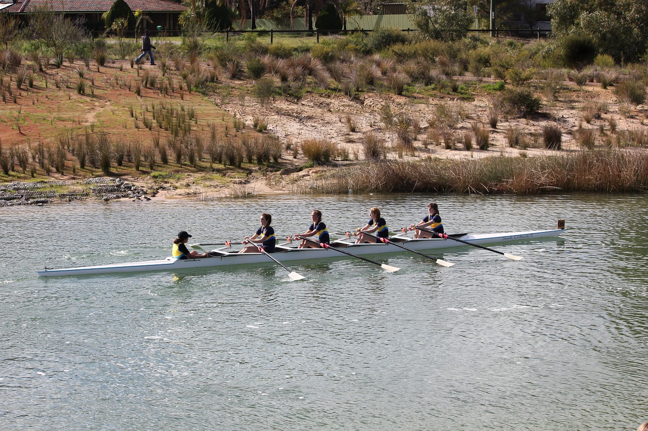 sport rowing australia free photo