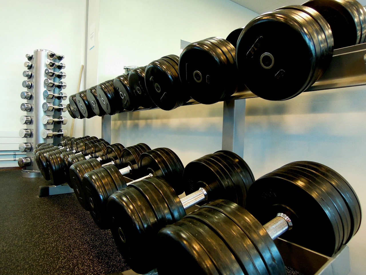 sports weights weightlifting free photo