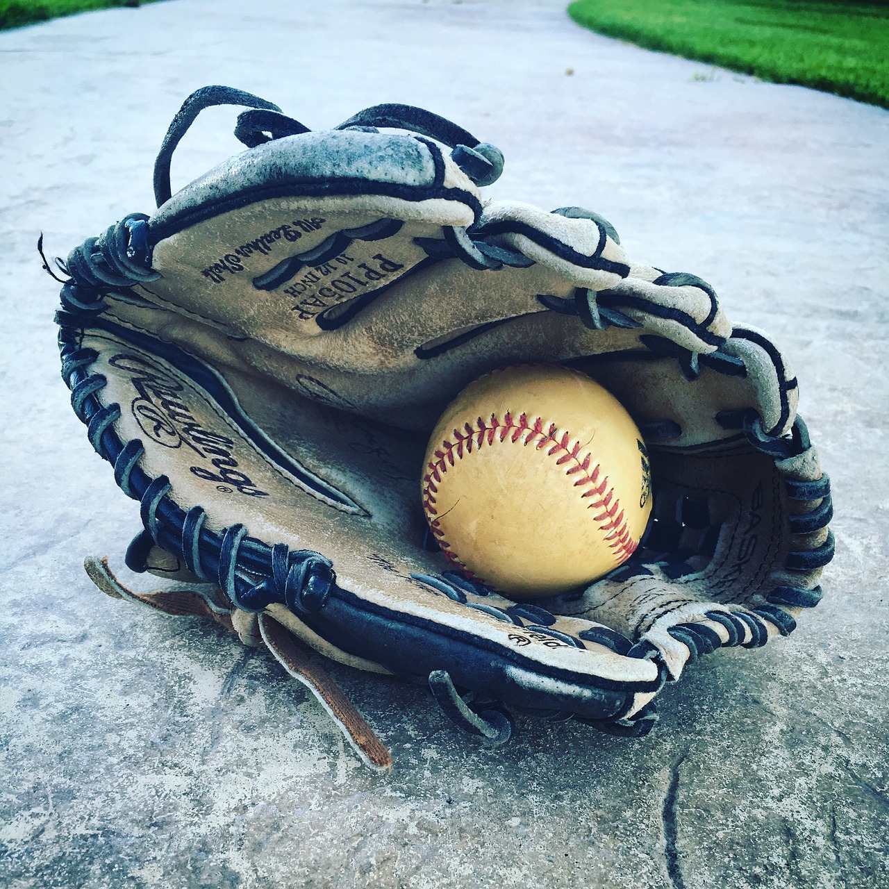 sports  ball  glove free photo