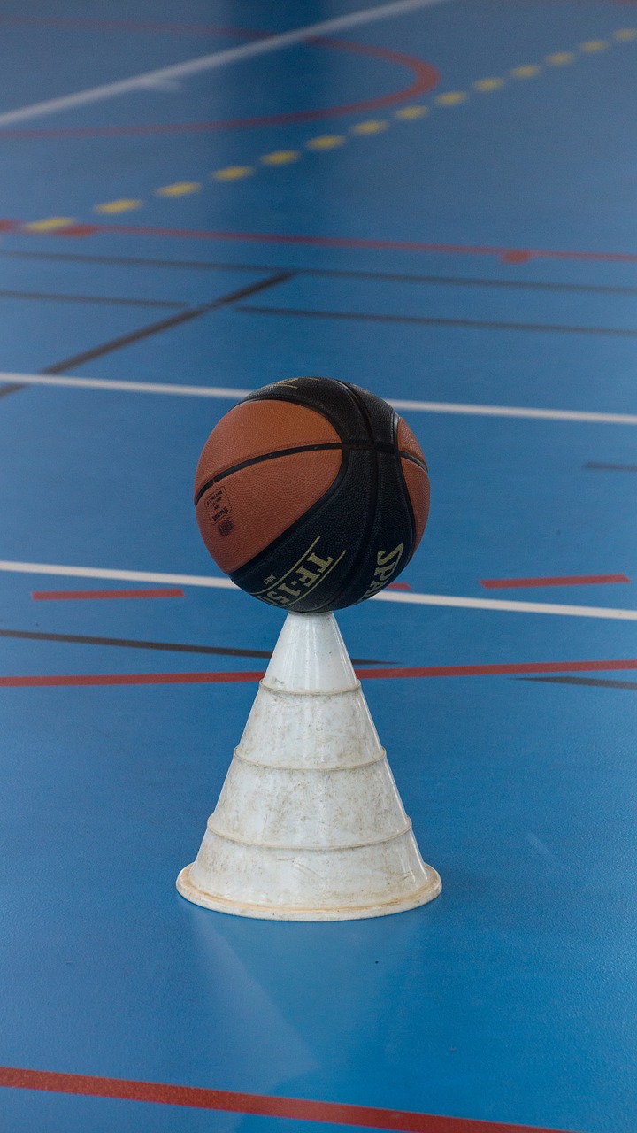 sports basketball cone free photo