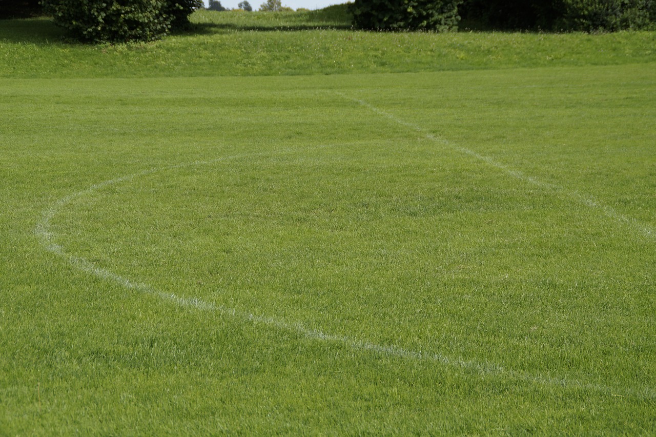 sports ground football pitch grass free photo