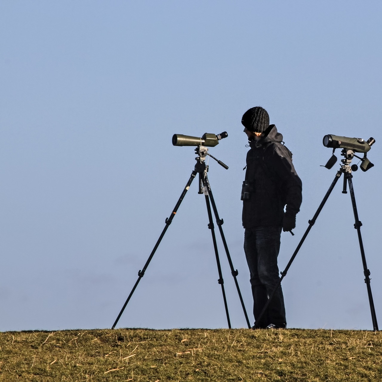 spotting scope ornithologist bird watching free photo
