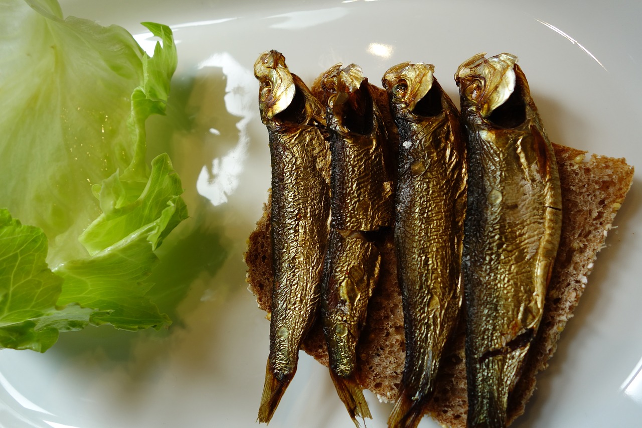 sprats  sprat  smoked free photo