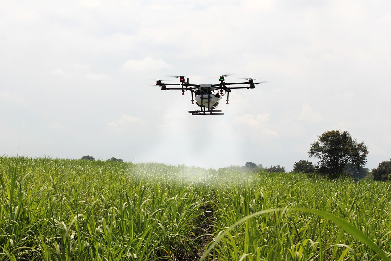 spraying sugar cane sugar cane drone farm free photo