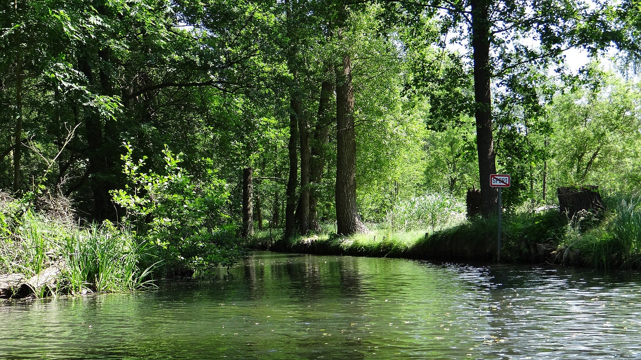 spreewald depth landscape free photo