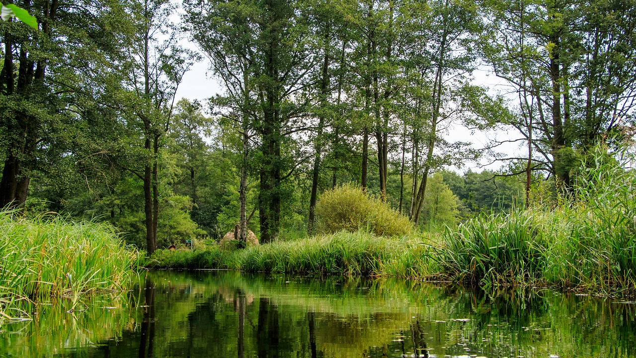 spreewald channels depth free photo