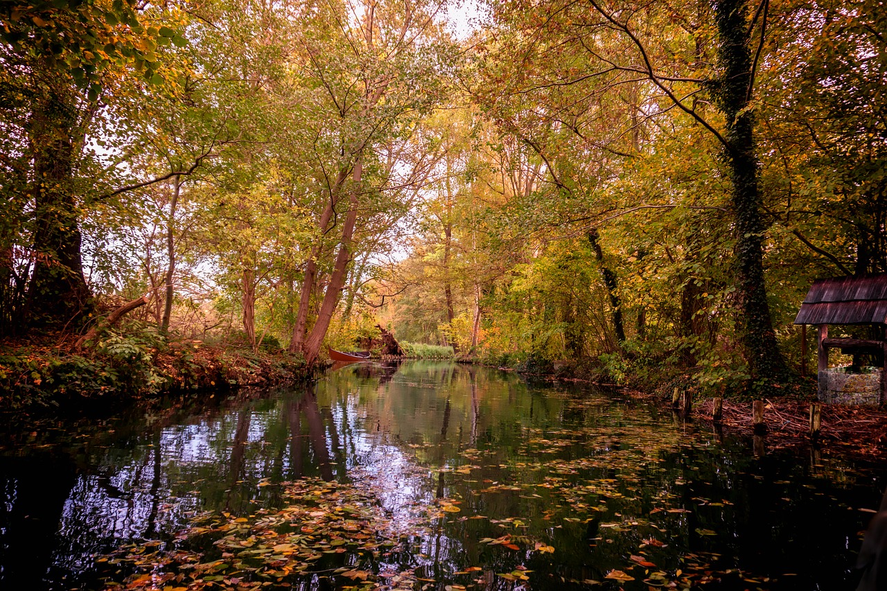 spreewald  water  channel free photo