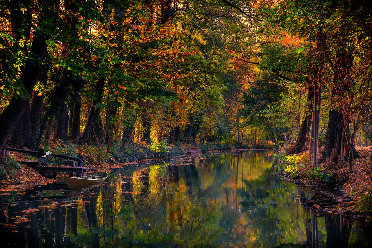 spreewald  water  channel free photo