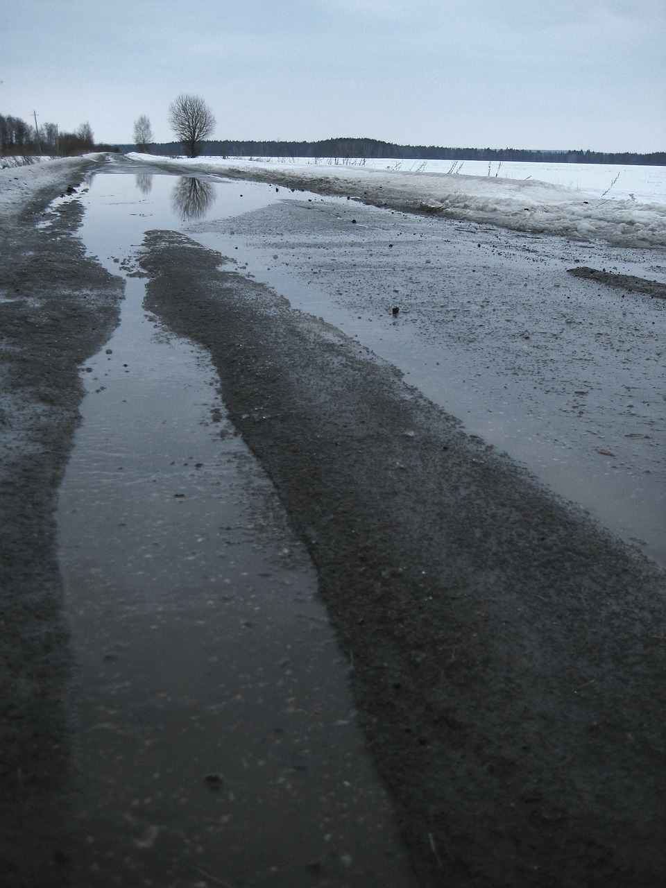 spring nature wet road free photo