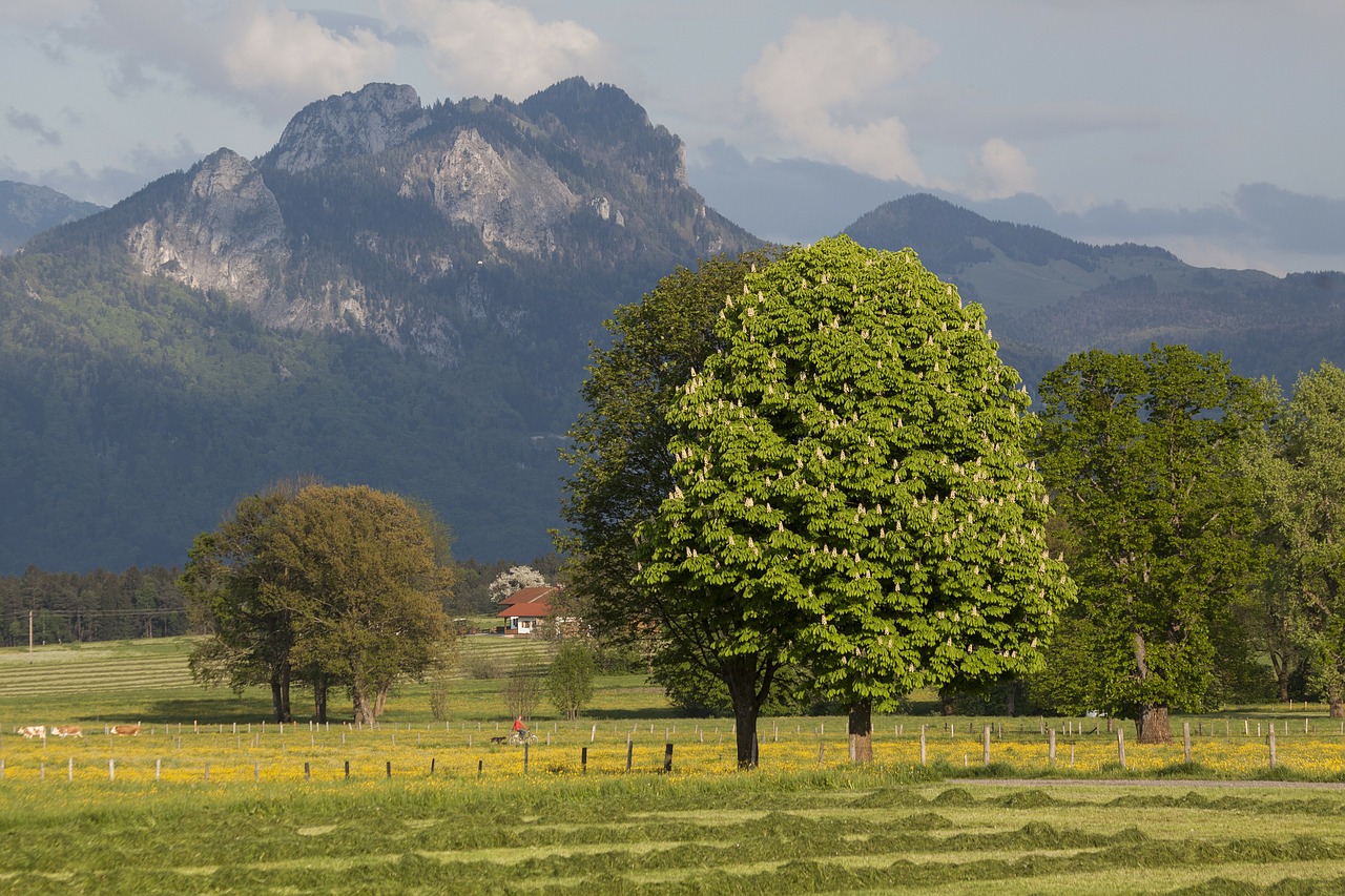 spring sunshine may free photo