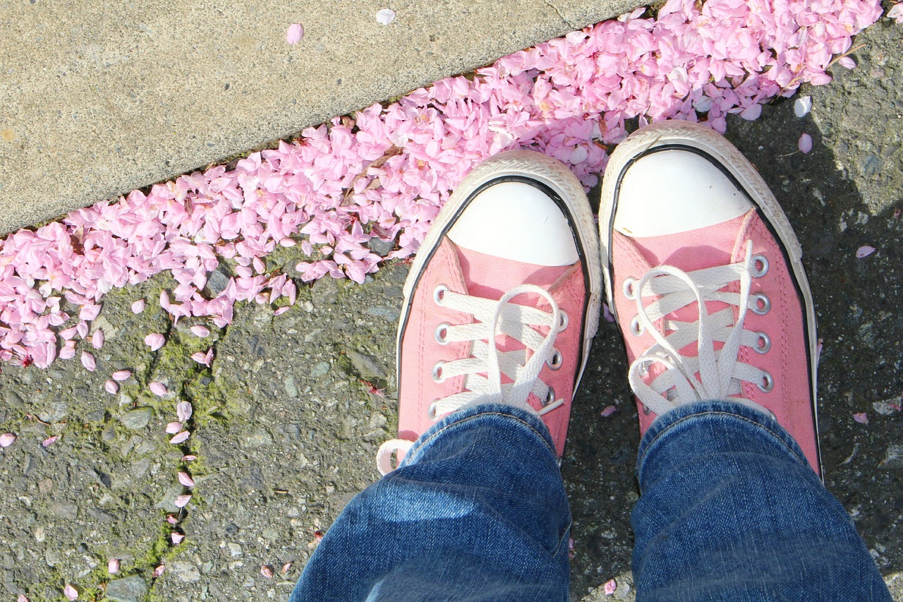 spring pink chucks free photo