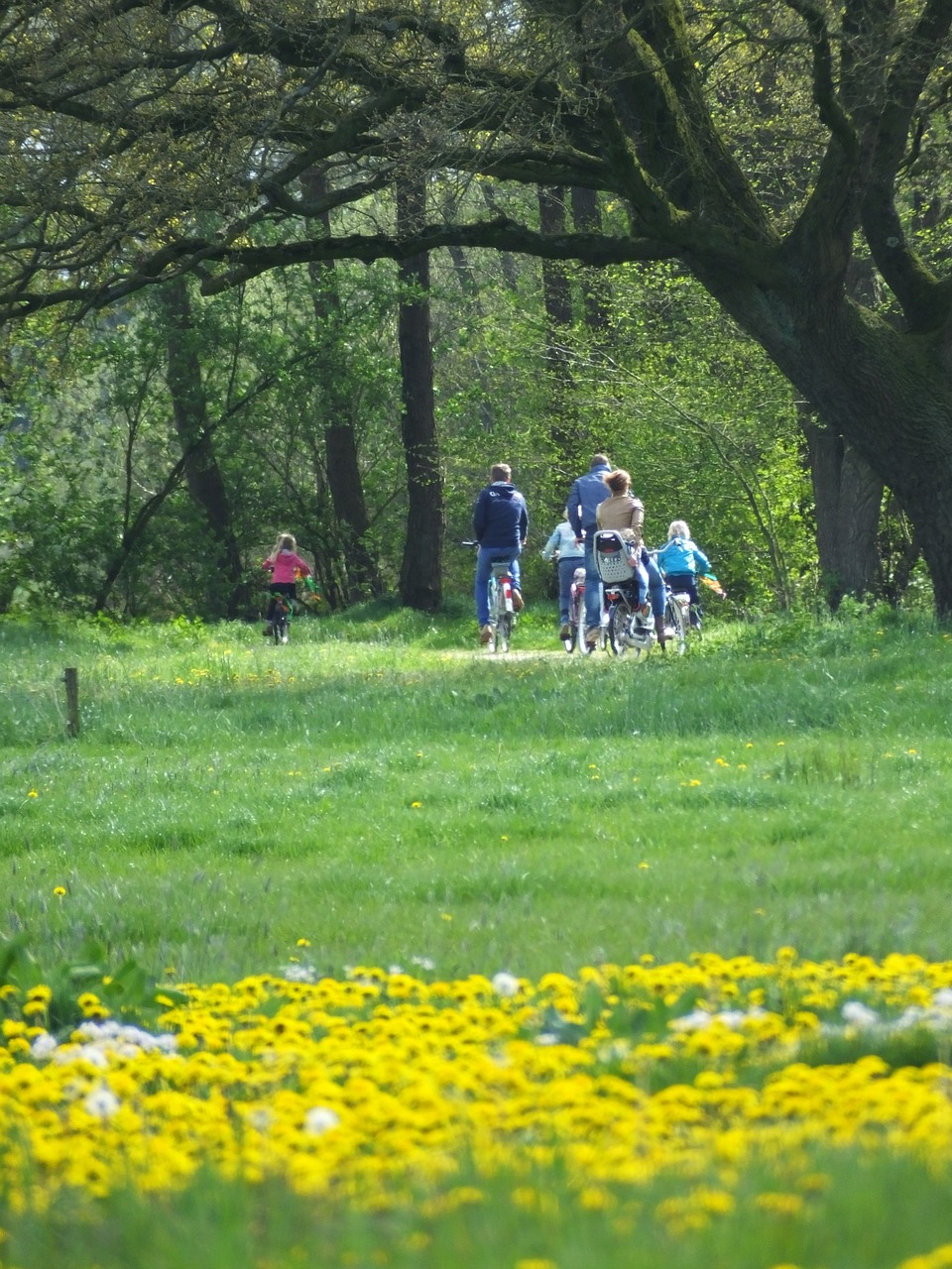 spring yellow green free photo