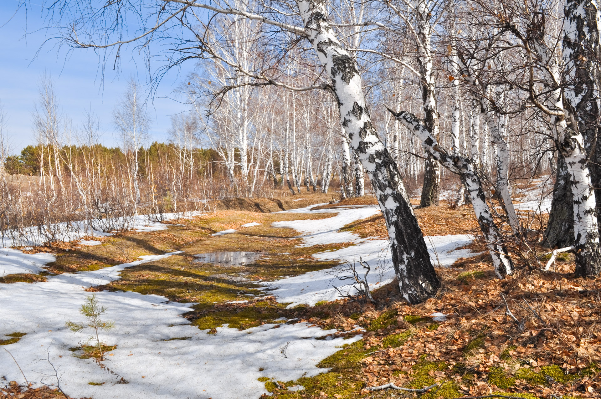 snow nature landscape free photo