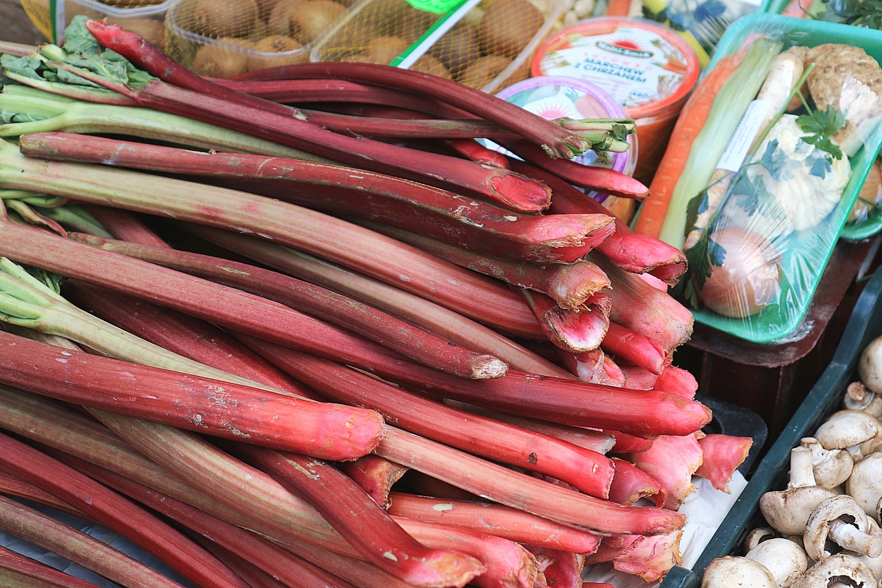 spring rhubarb market free photo