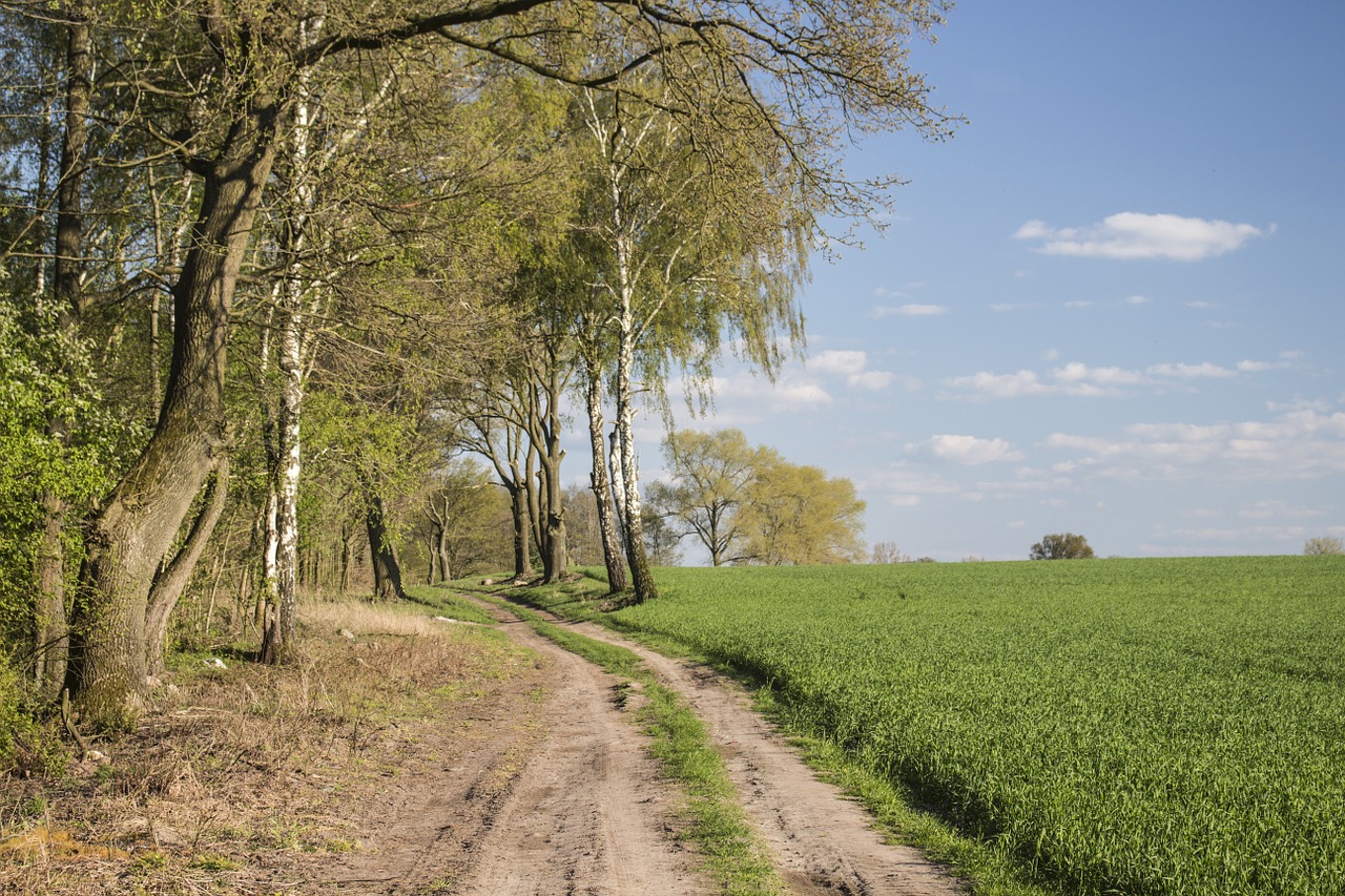 spring landscape field free photo