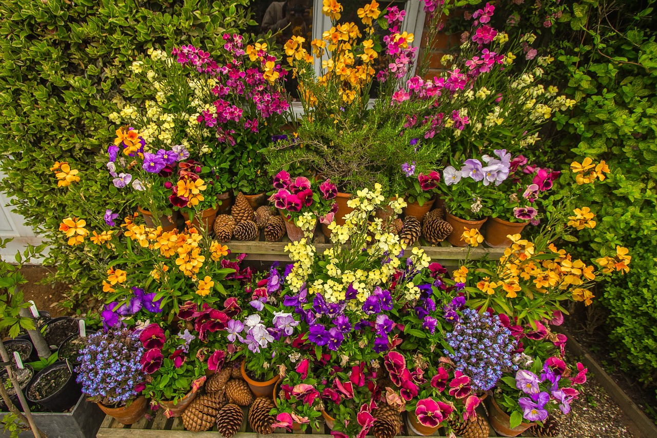 spring garden colorful flowers free photo