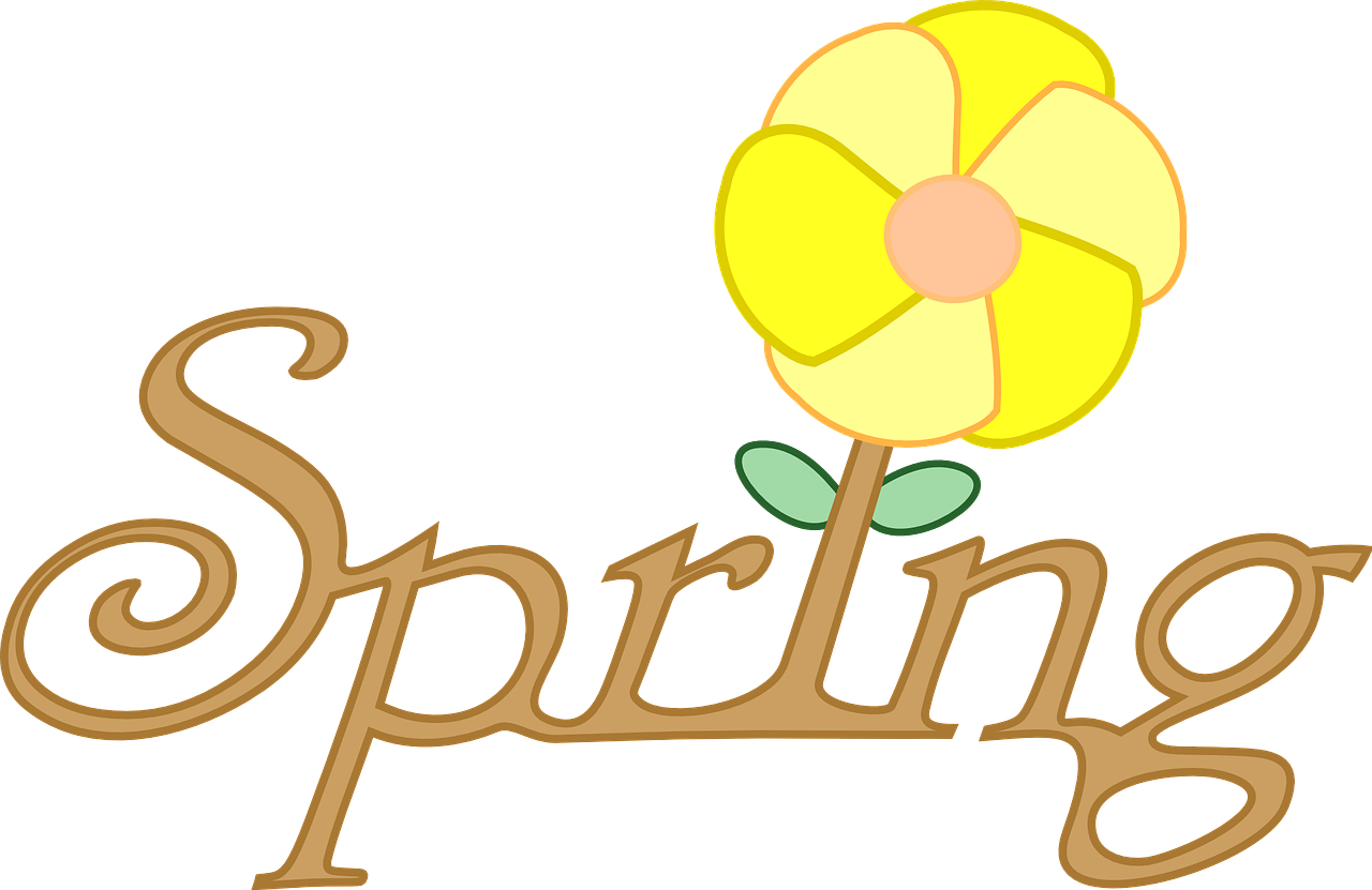 spring flower text free photo