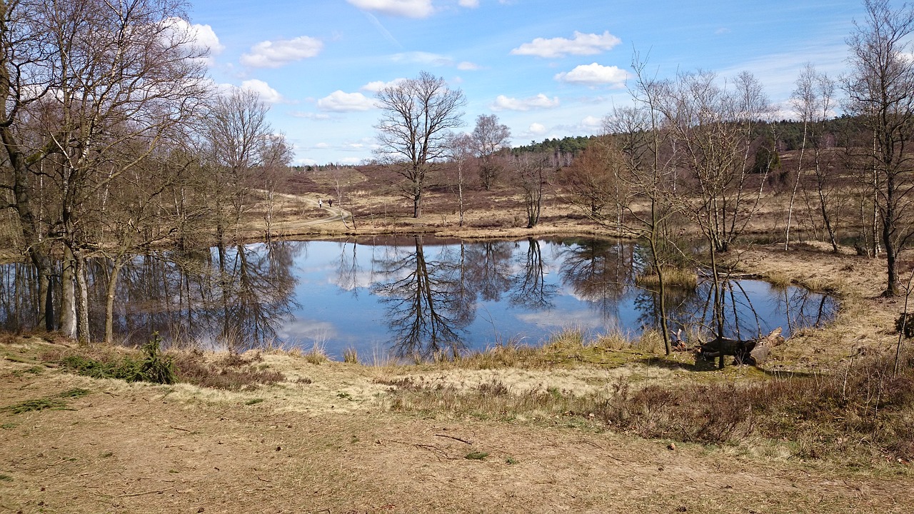 spring lake mirroring free photo