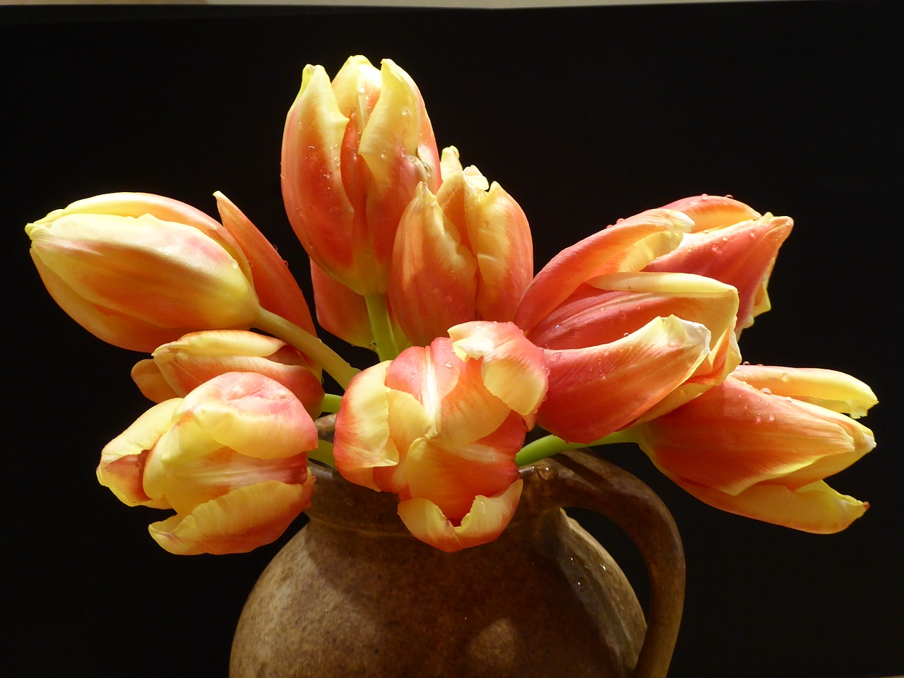 spring tulip bouquet cut flowers free photo