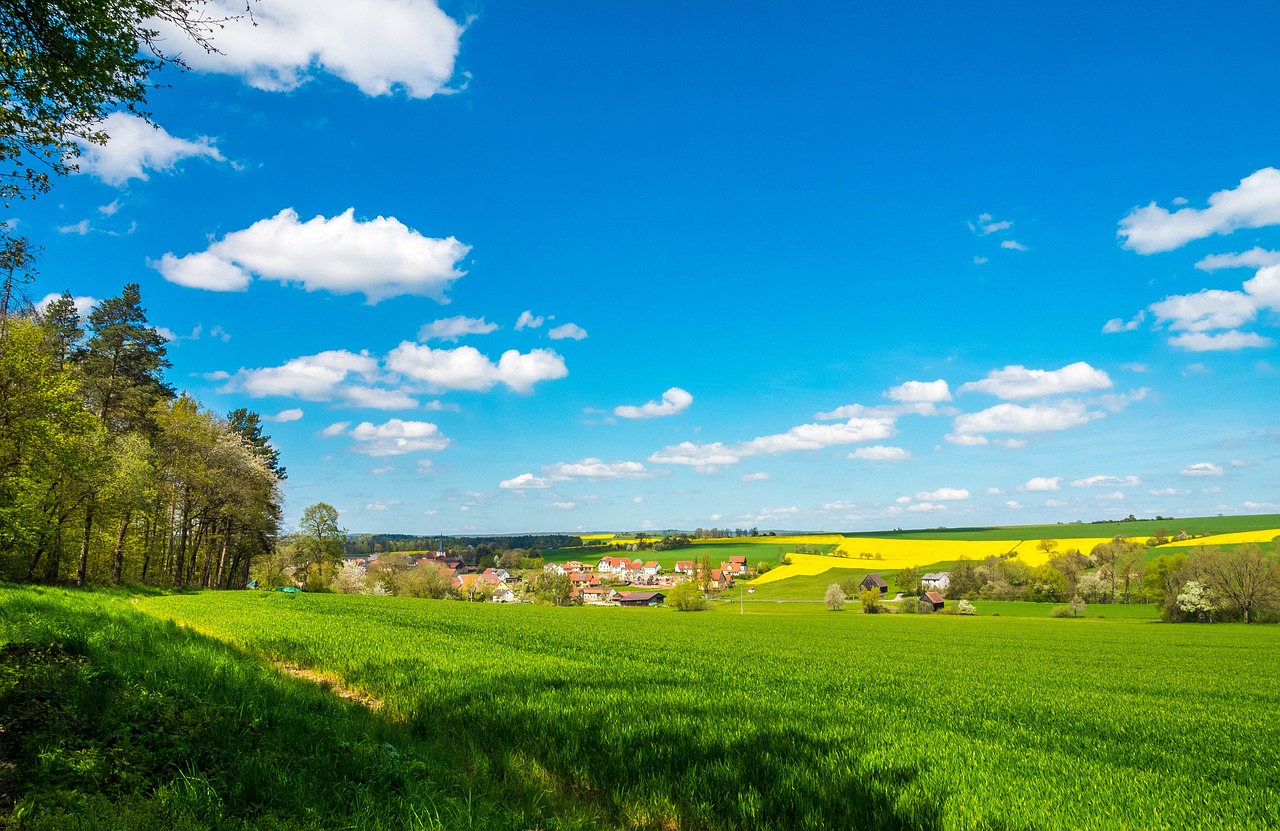 spring landscape meadow free photo