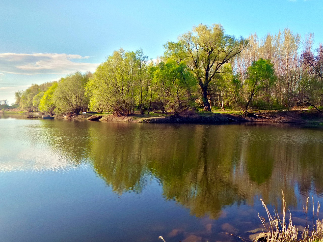 spring water trees forest free photo