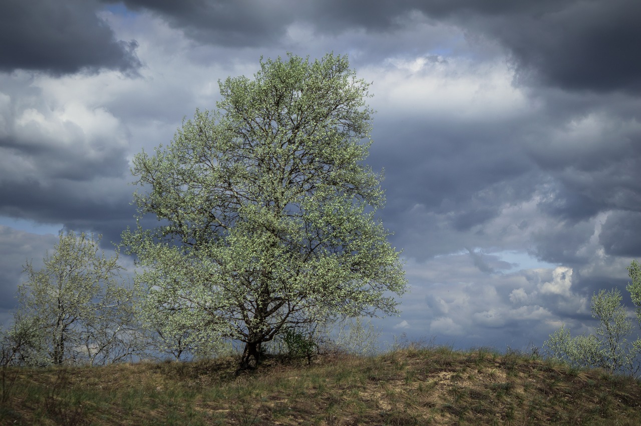 spring cloudy rain cloud free photo