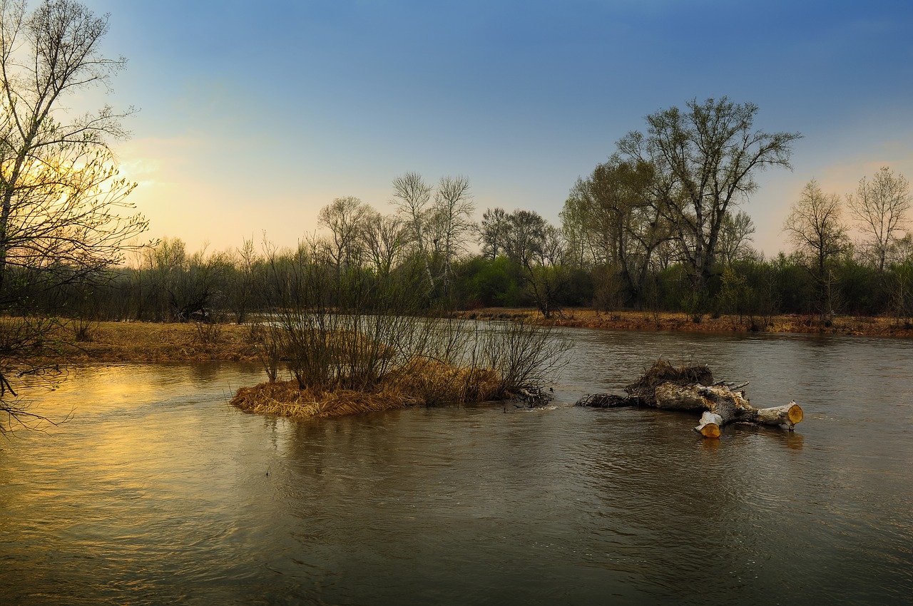 spring nature river free photo