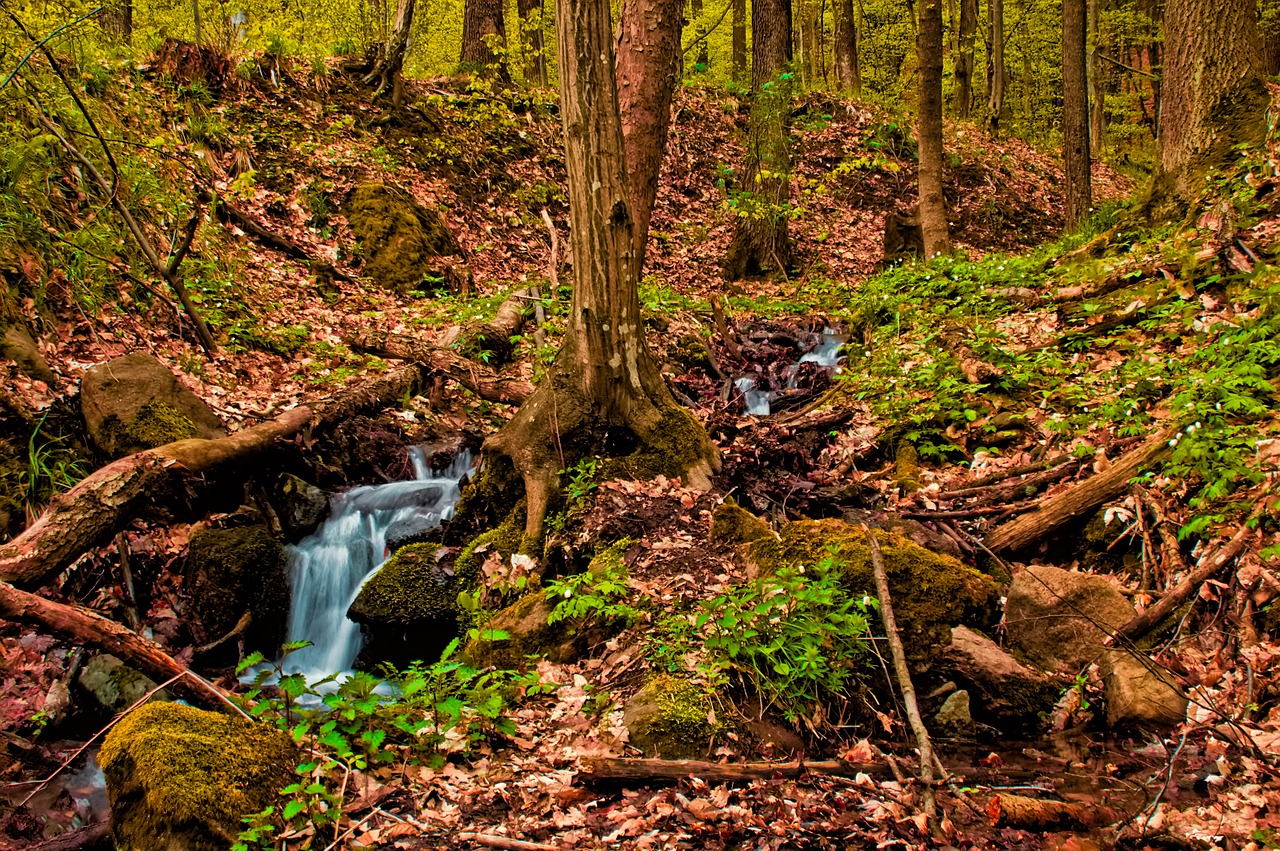 spring the creek water free photo