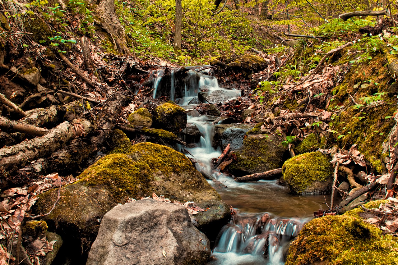 spring the creek water free photo