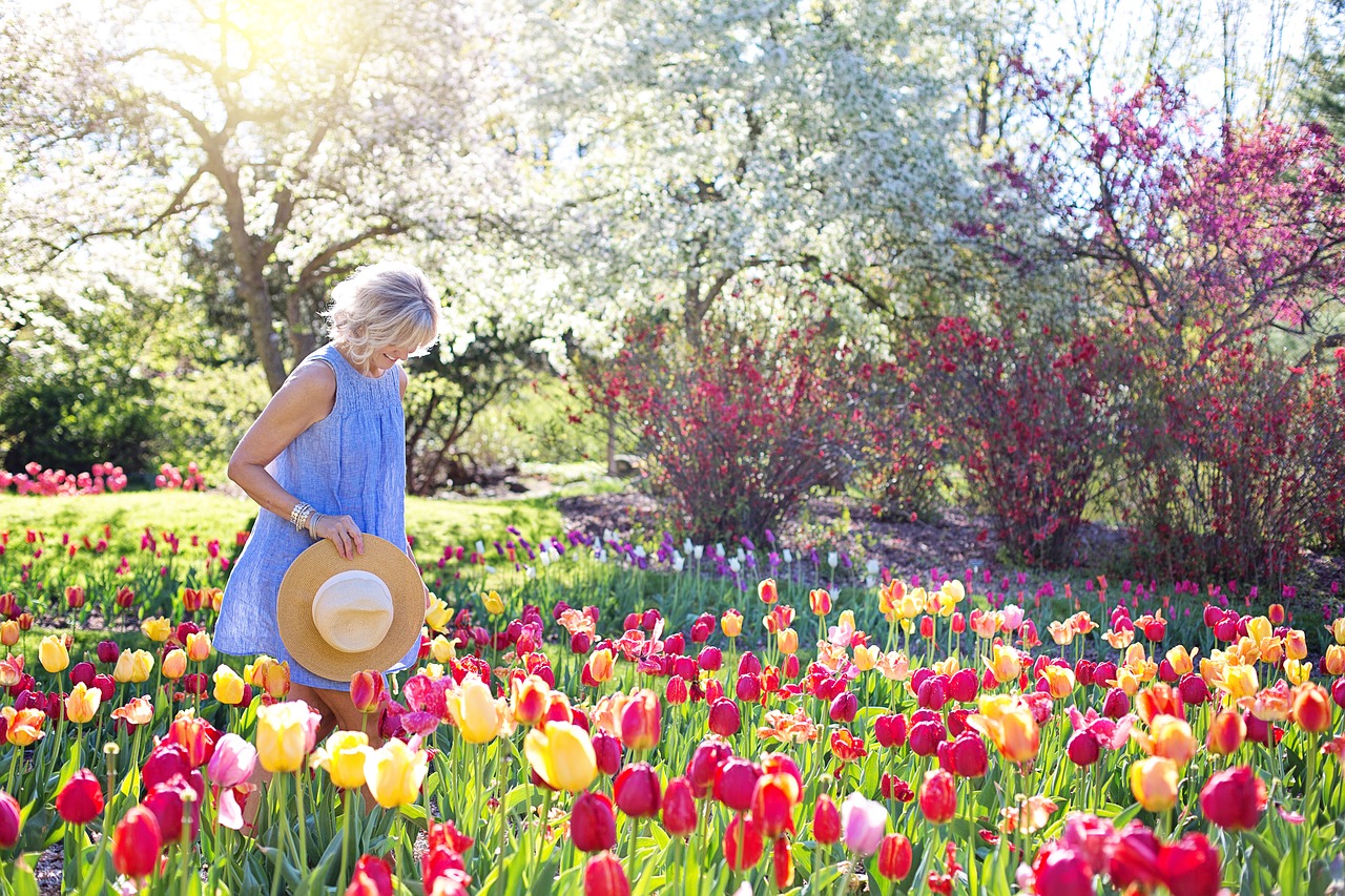 spring tulips pretty woman free photo