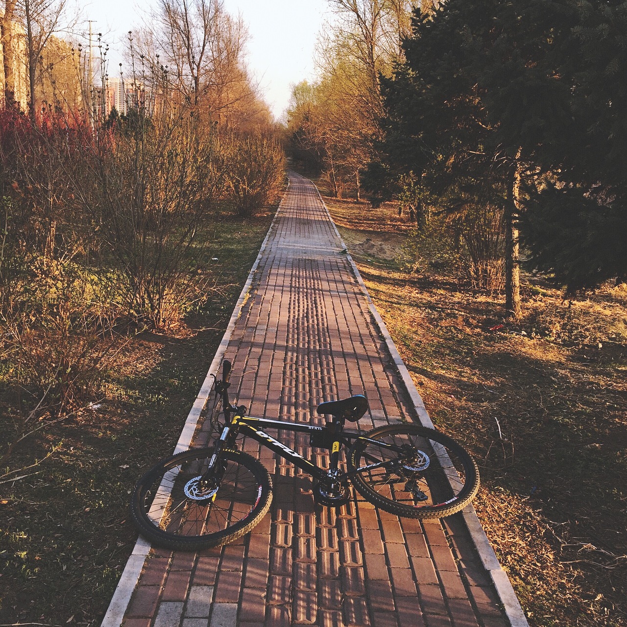 spring bicycle bike free photo