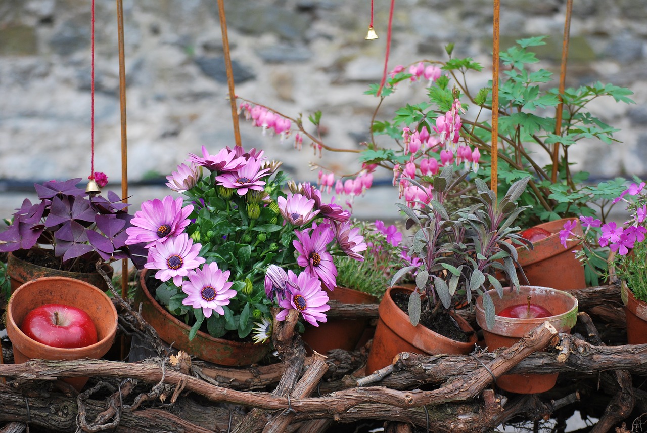 spring flowers vase free photo