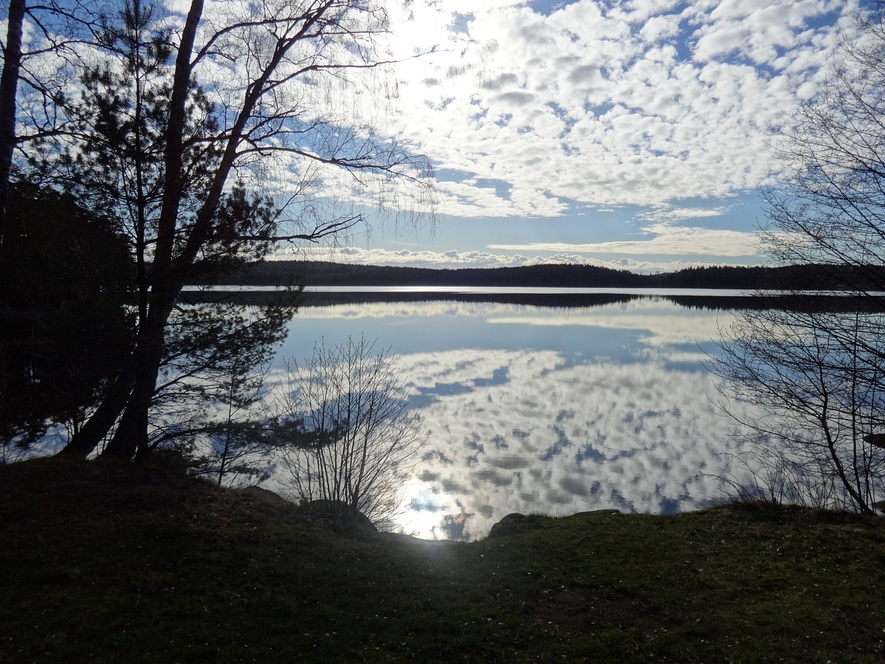 spring morning lake free photo