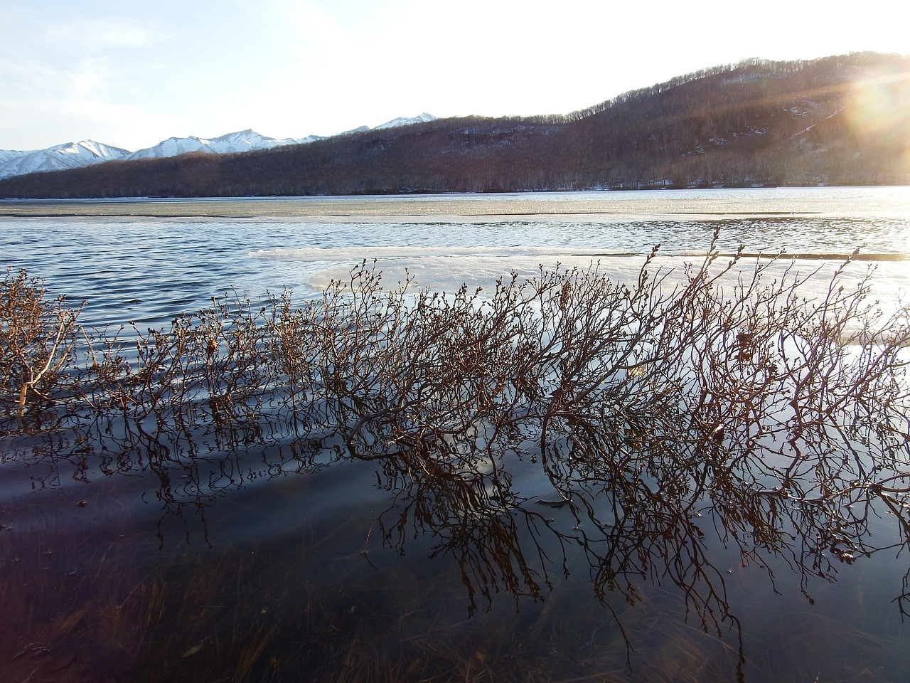 spring lake ice free photo