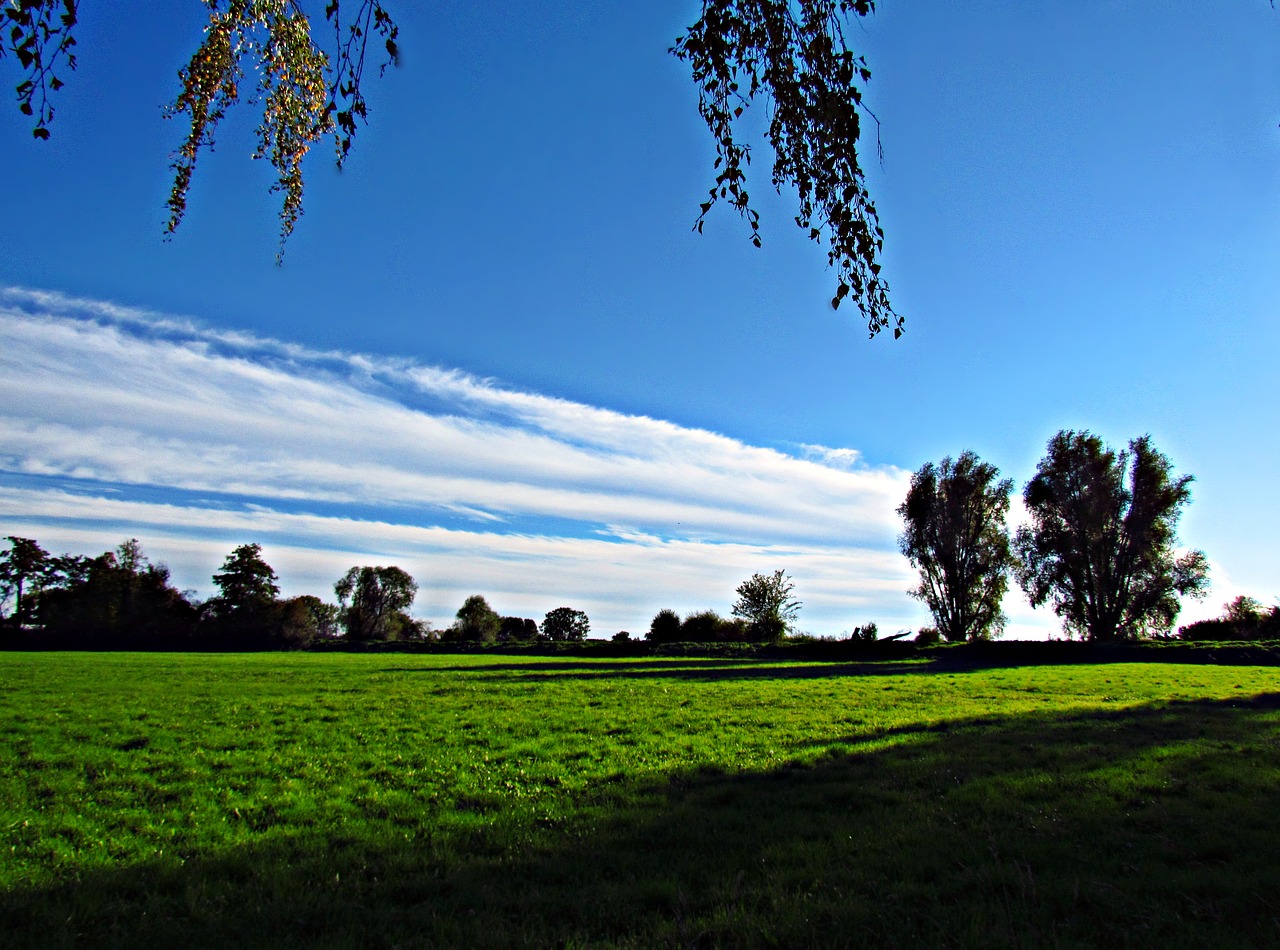 spring meadow green free photo