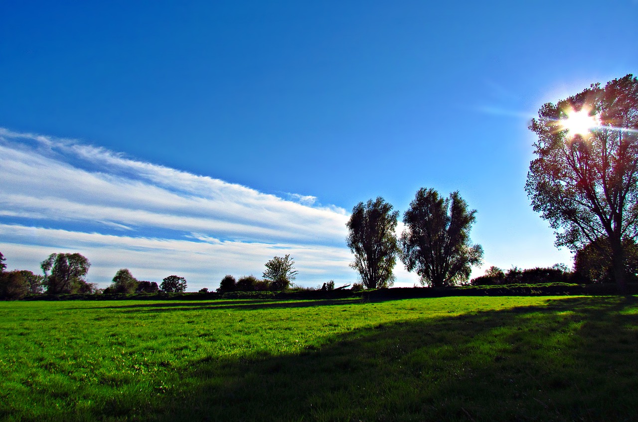 spring meadow green free photo