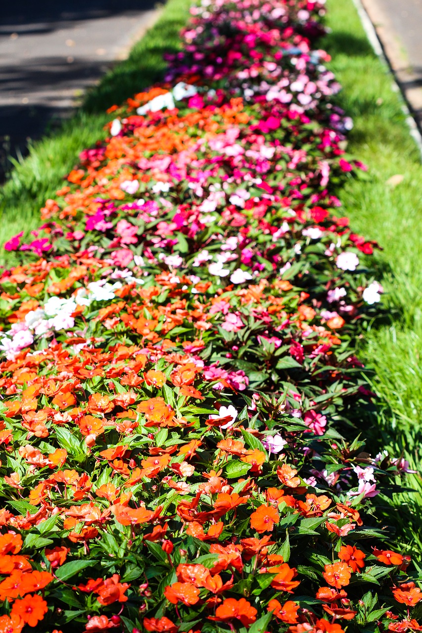spring flower arrangement small flower free photo