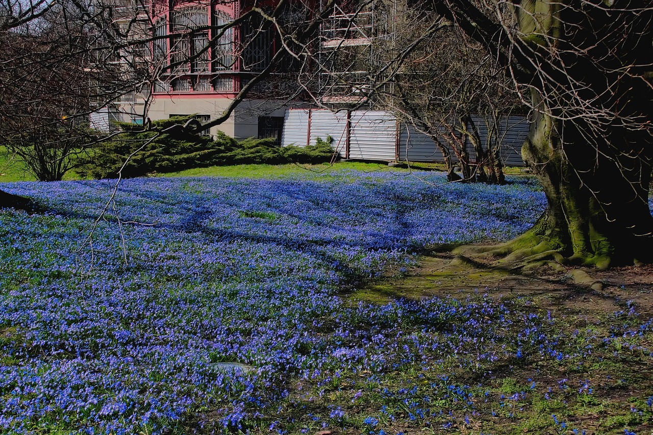 spring flowers landscape free photo