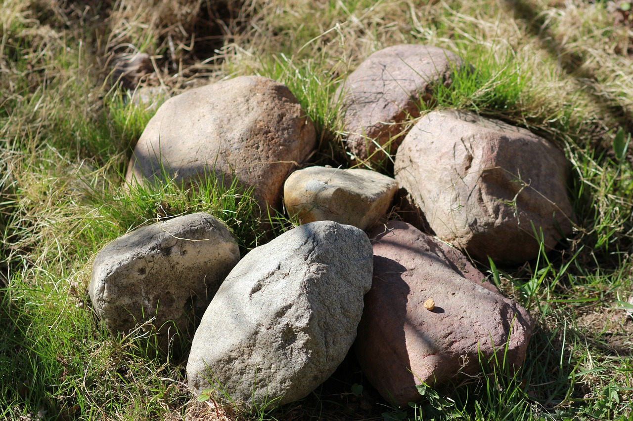 spring stones vegetable garden free photo