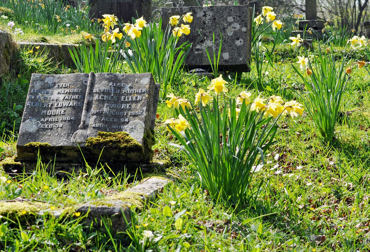 spring cemetery grave free photo