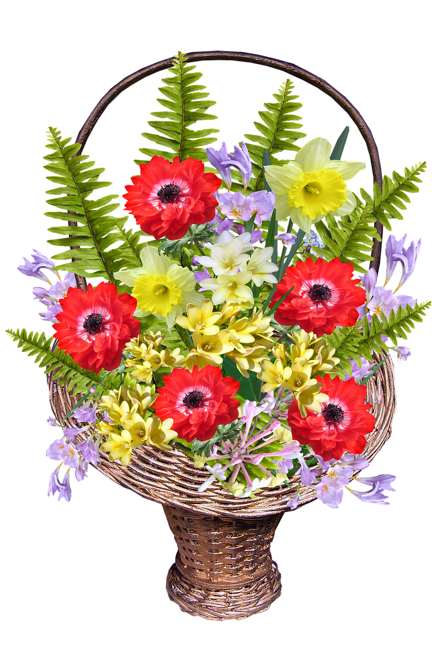 spring flower basket free photo