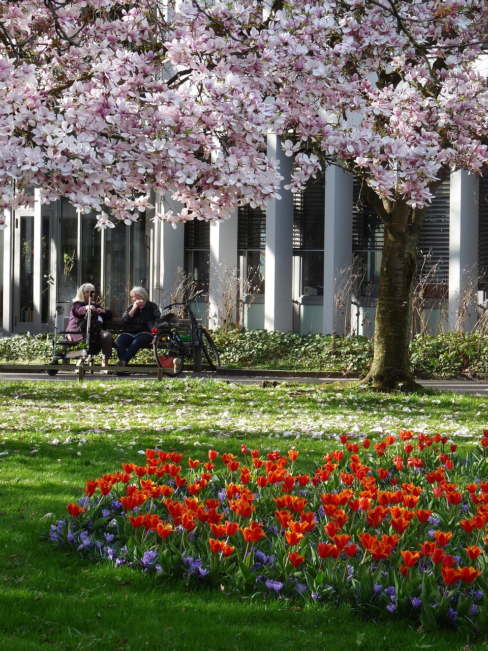 spring human park free photo