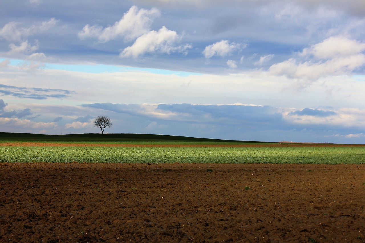 spring clouds agriculture free photo