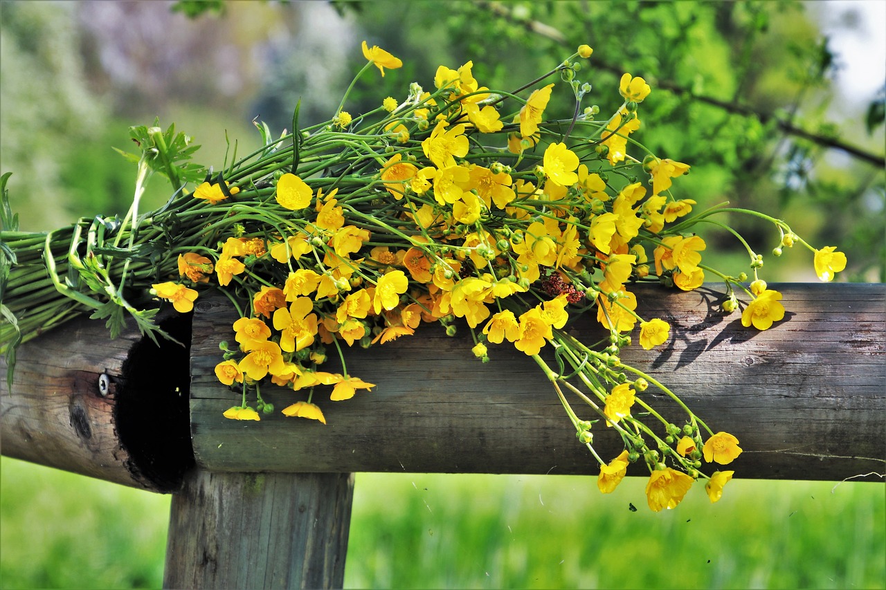 spring  bouquet  nature free photo