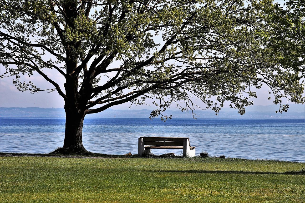 spring  landscape  beach free photo