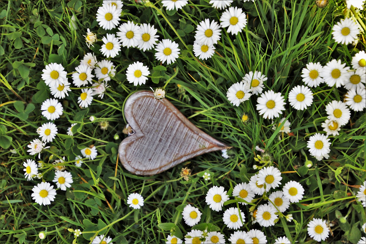 spring  heart  wooden free photo