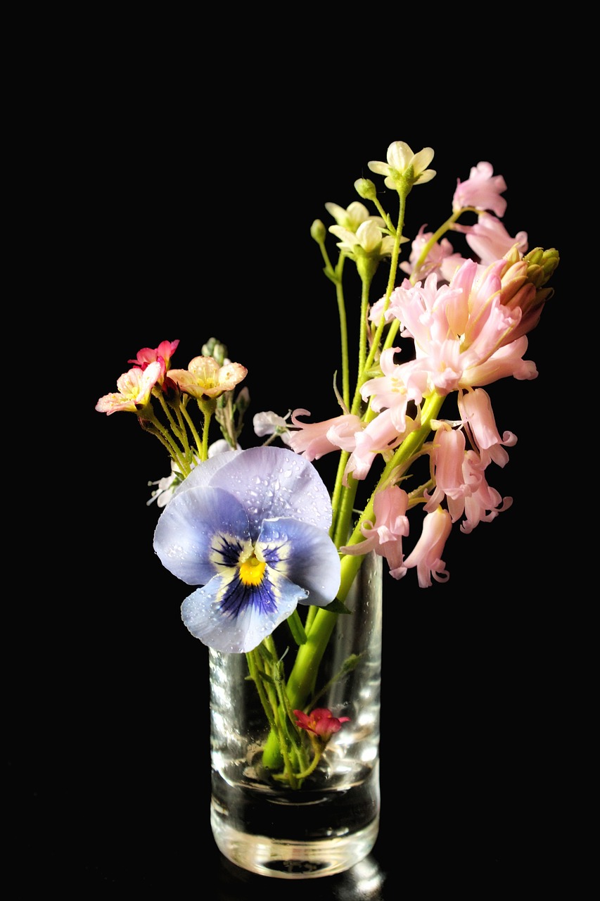 spring  flowers  vase free photo