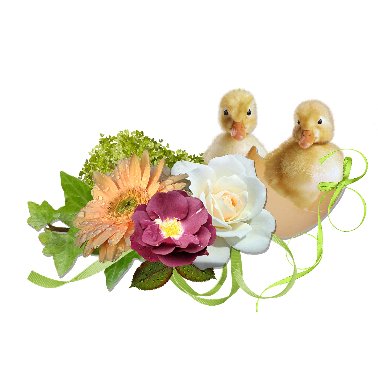 spring  easter  cute free photo