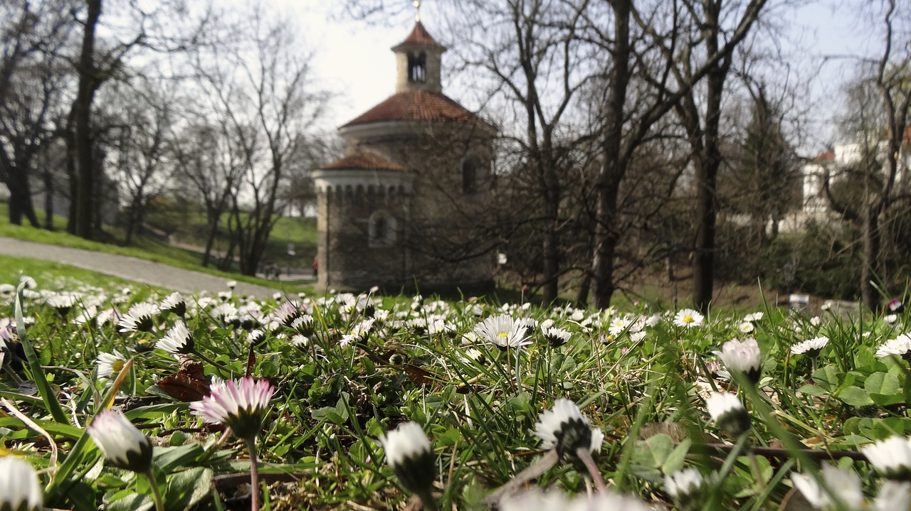 spring flowers flower free photo